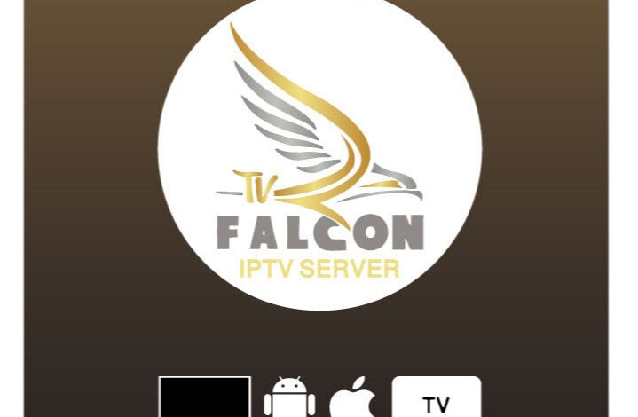 اشتراك فالكون Falcon لمدة سنة + شهرين هدية