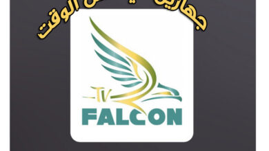 بطاقة Falcon لمدة سنة جهازين في نفس الوقت